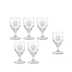 Set panákov SLIVKA 30 ml, 6 ks